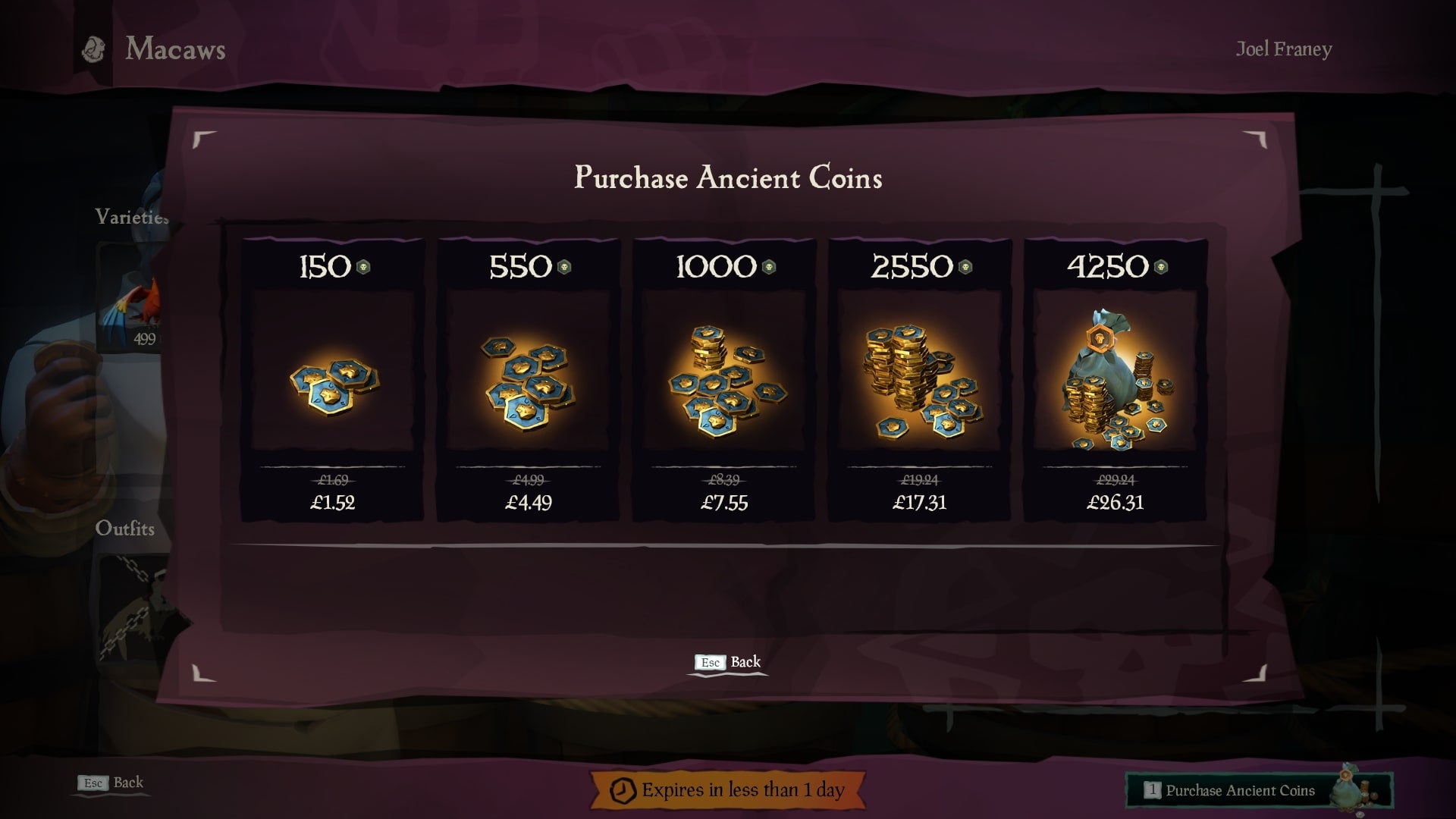 Sea of Thieves How to Get and Use Pets VG247